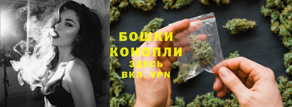 стаф Горно-Алтайск