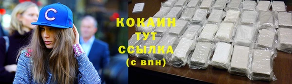PSILOCYBIN Горняк