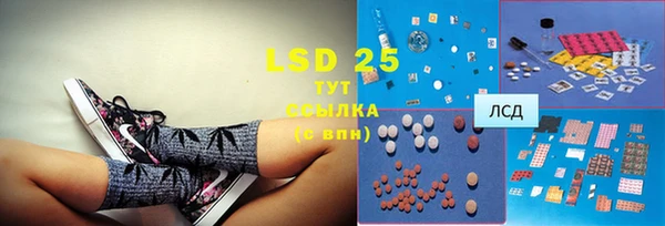 спиды Вяземский