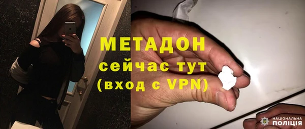 PSILOCYBIN Горняк