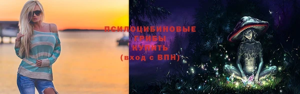 дмт Горнозаводск