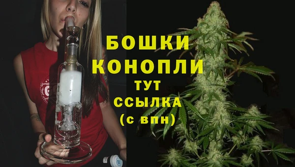 стаф Горно-Алтайск