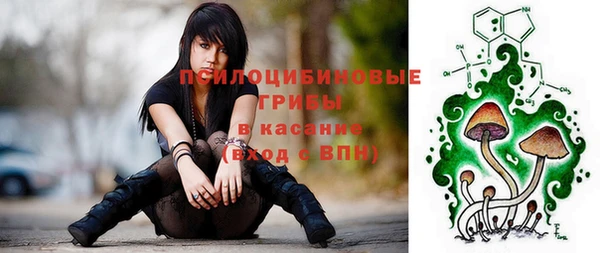 PSILOCYBIN Горняк