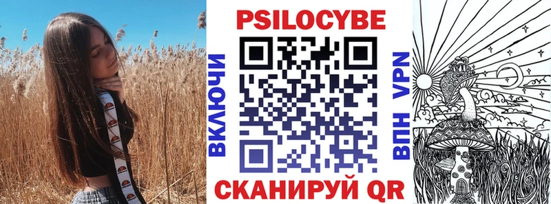 shop какой сайт  Чехов  Галлюциногенные грибы Psilocybe 